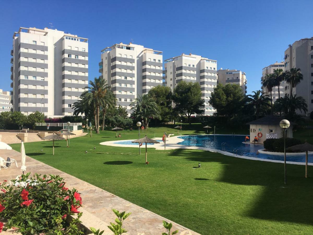 Jardin Del Mar Playa Muchavista - - Alicante Apartment