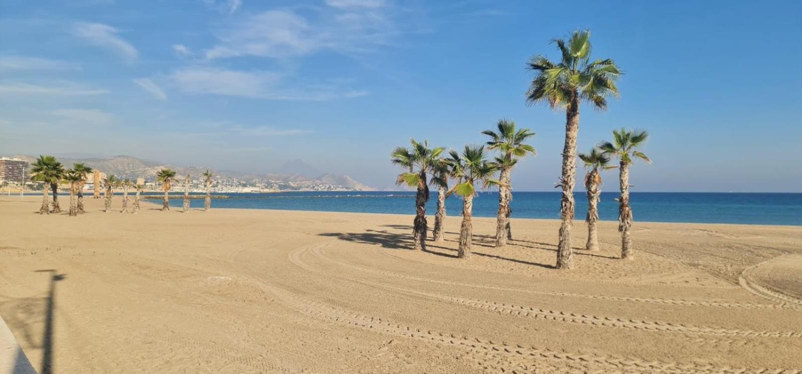 Apartment Jardin Del Mar Playa Muchavista - - Alicante *