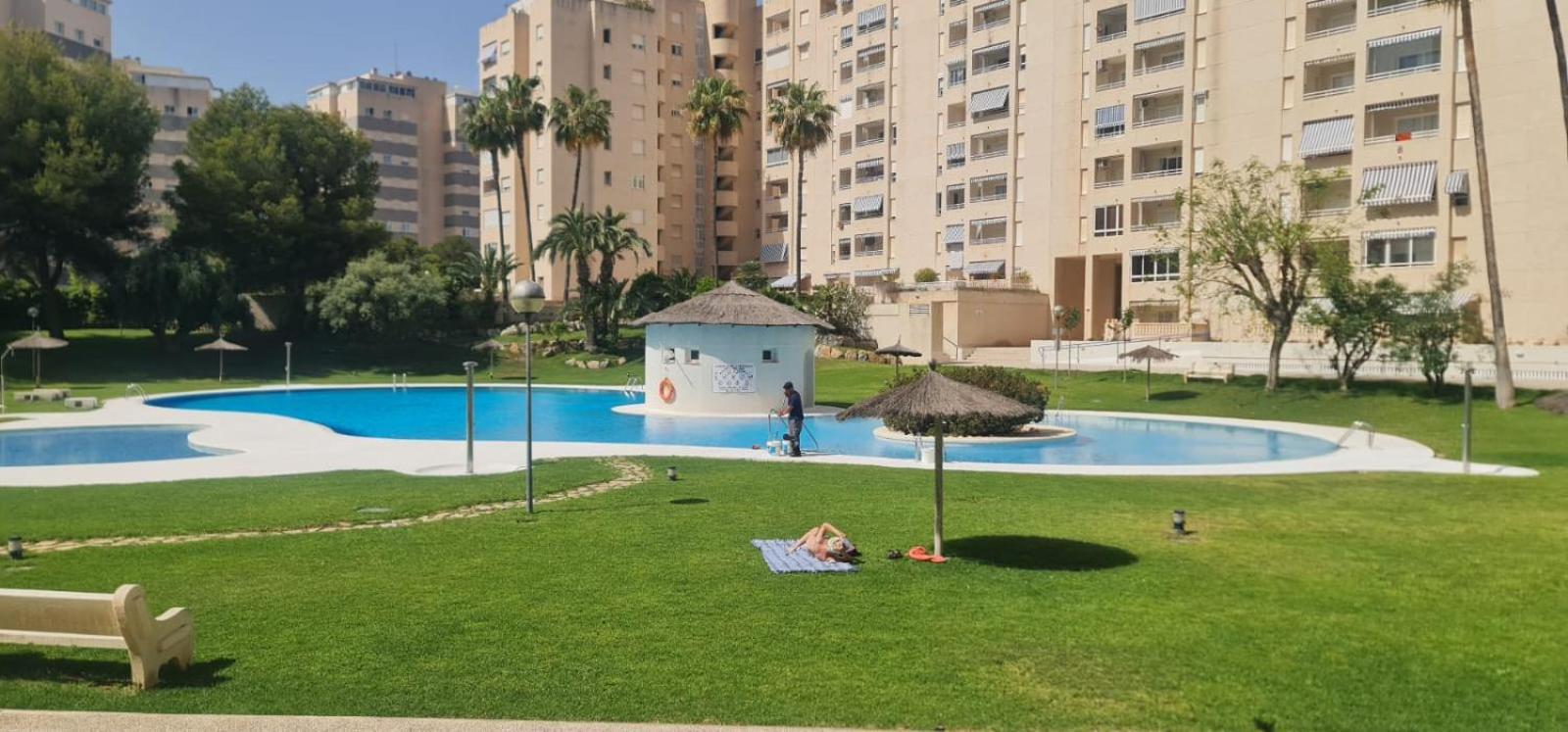 Apartment Jardin Del Mar Playa Muchavista - - Alicante El Campello